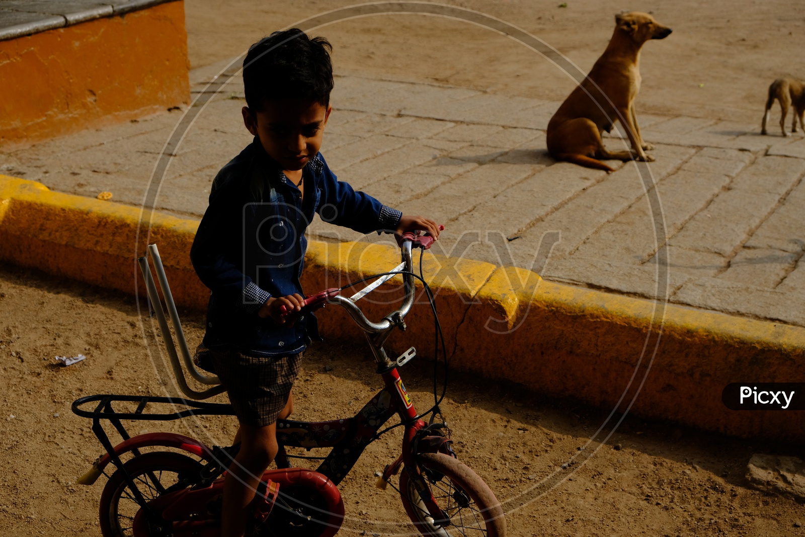 A Boy On a Bicycle