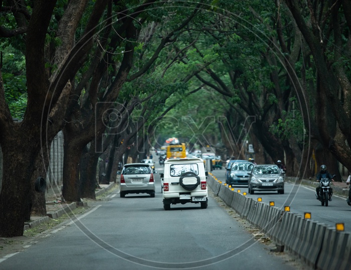 Greenery on both sides of Roads covered with trees in Bangalore,