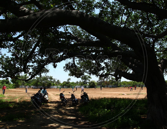 Men Playing Cricket in a Open Ground