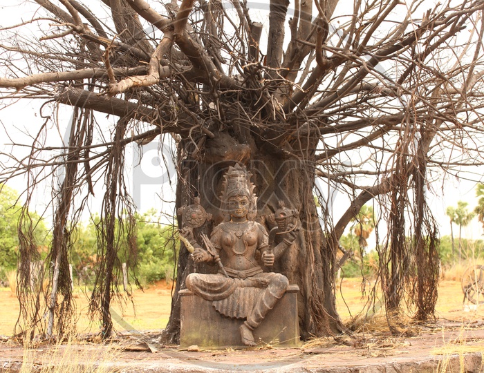 Hindu Goddess Idol Under A Tree