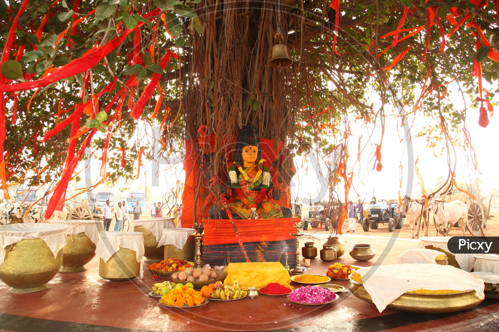 Hindu Goddess Idol Under A Tree