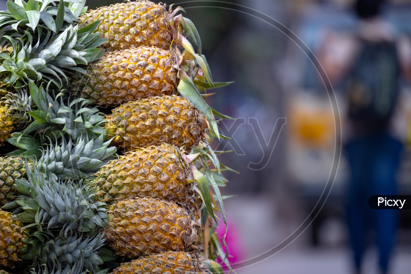 Pineapple fruits being sold