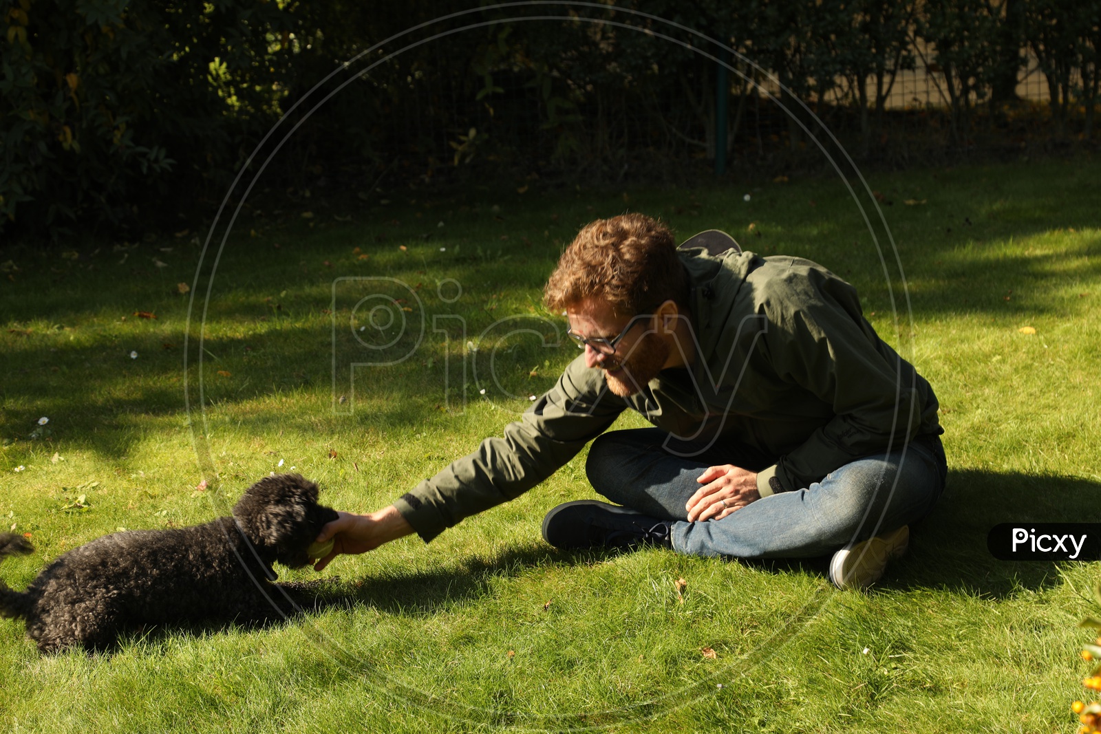 Young  Man Playing With a Pet Dog In a Lawn Garden