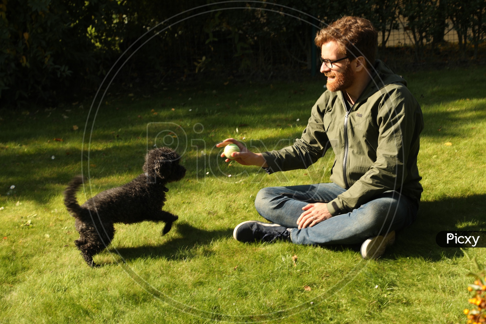 Young  Man Playing With a Pet Dog In a Lawn Garden