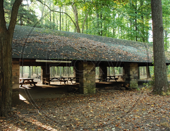 Benches Under a Hut