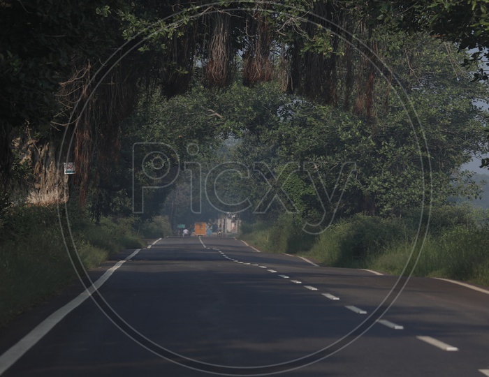 Rural Village Roads Covered With Trees