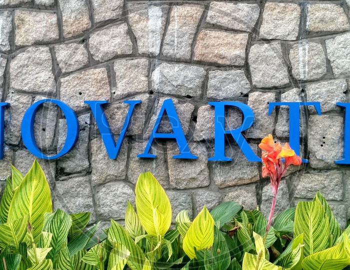 Novartis name board at Hyderabad