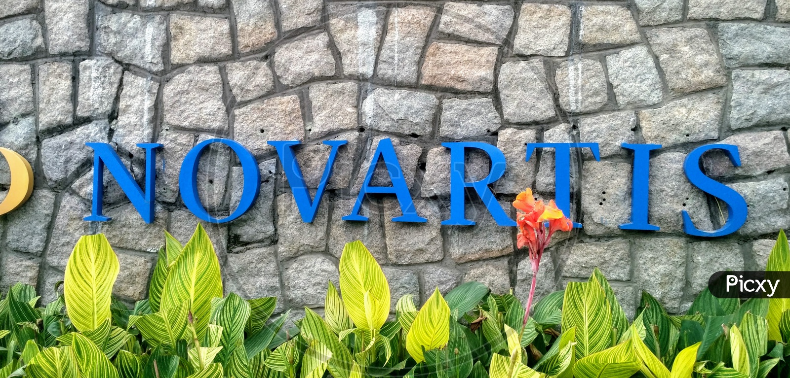 Novartis name board at Hyderabad