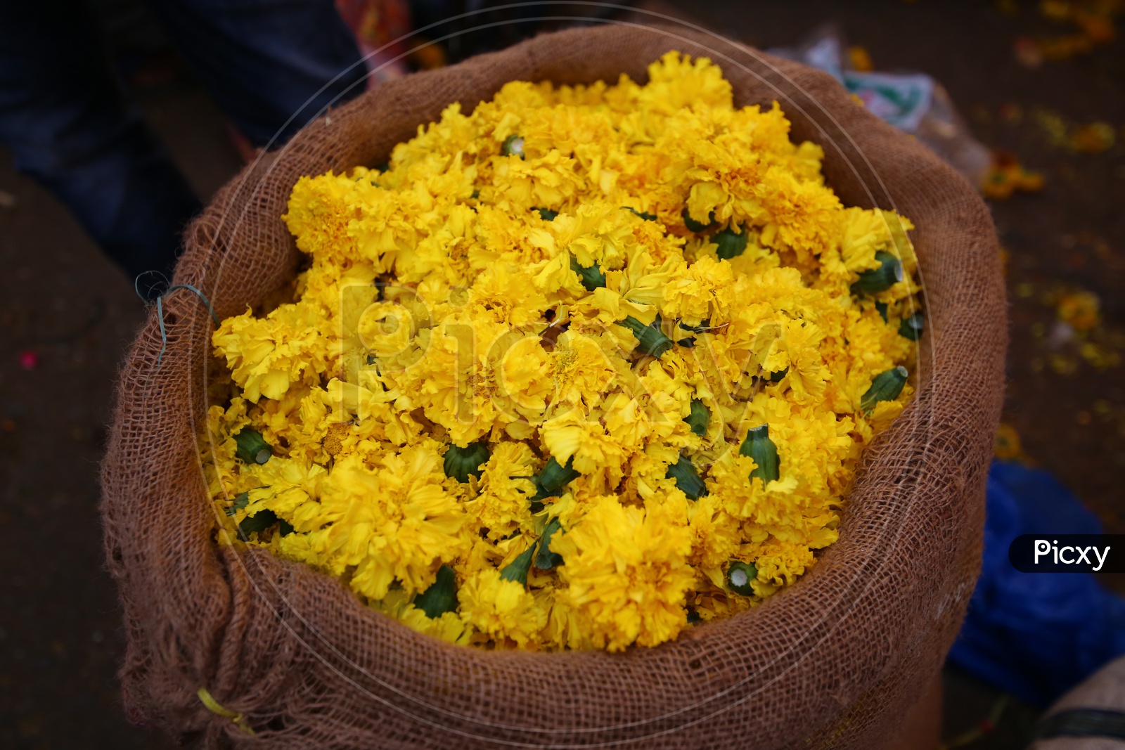 Yellow Marigold Flowers  in a Vendor Stall