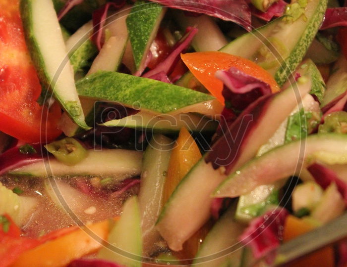Green Salad  Vegetable Salad