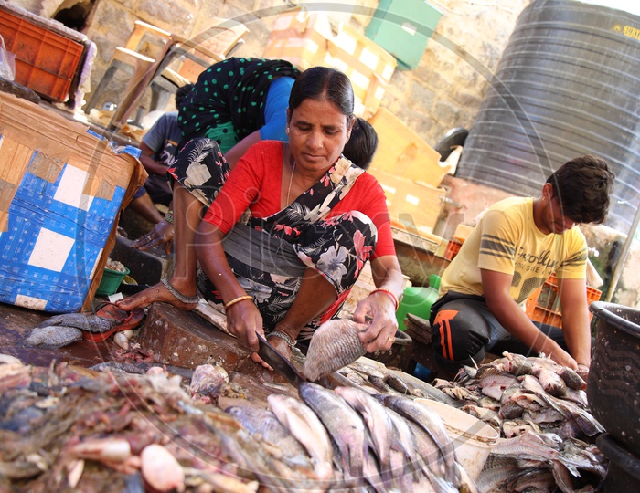 Fishes in Fish Market  With Vendors