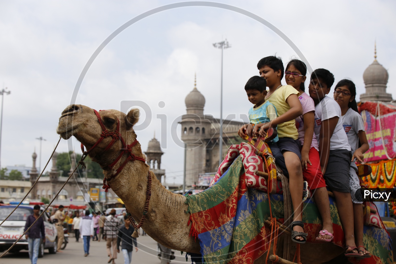 Camel Rides On The Streets of Charminar