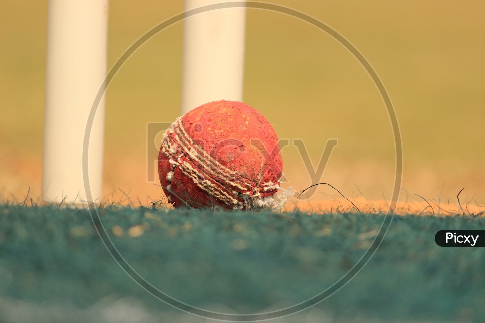 Cricket Ball and Stumps