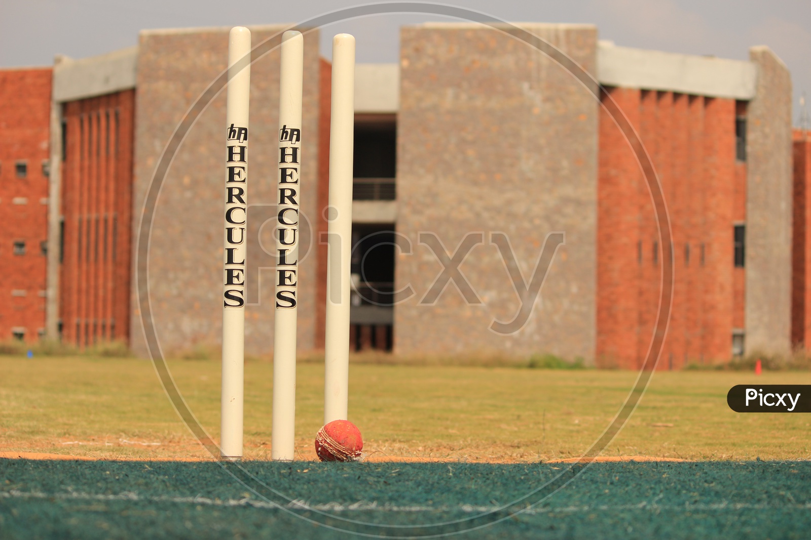 Cricket Ball and Stumps