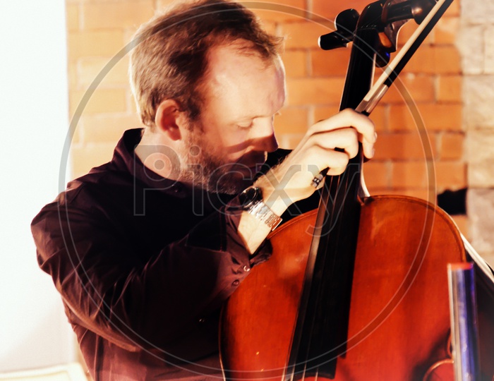 Violin Artists musician Playing On Stage