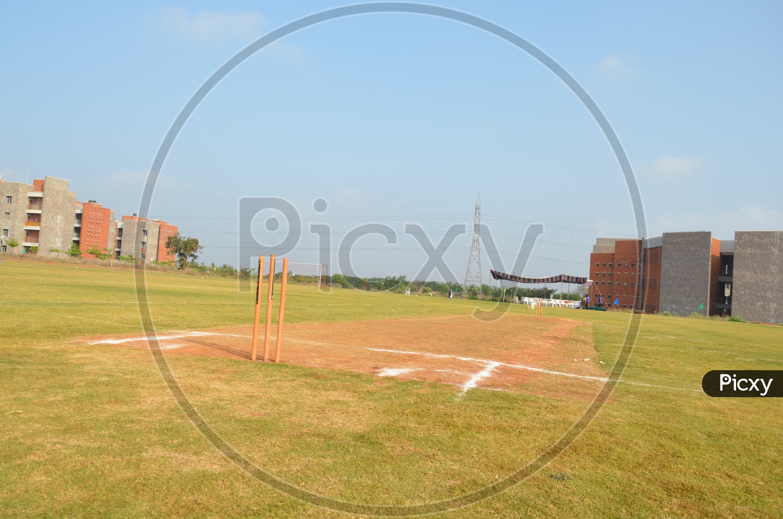 Cricket Stumps and Pitch