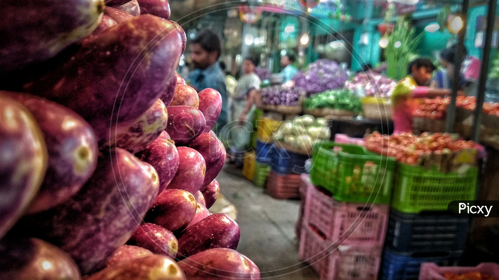 Image of king of vegetablesPD455107Picxy