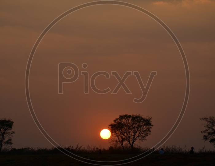 Silhouette of a Lone Tree Over a Sunset Bright Sun