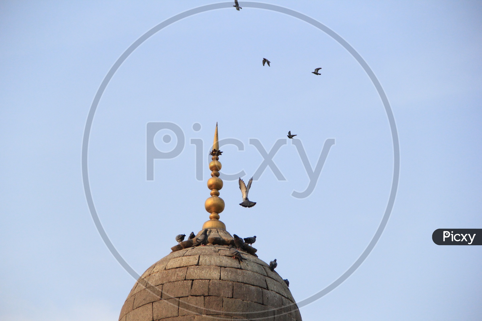 Pigeons On The Minar of Mecca masjid