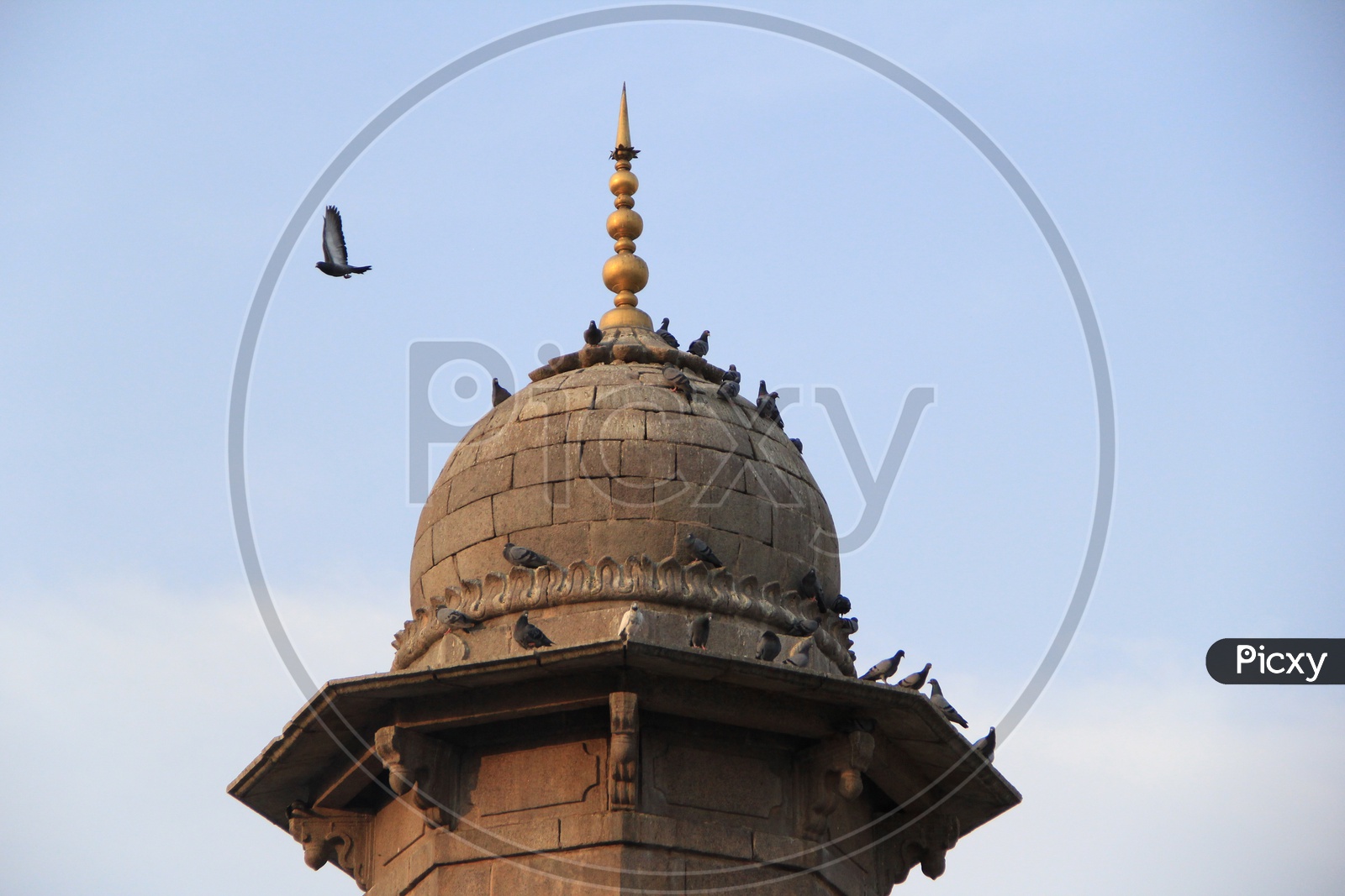 Pigeons On The Minar of Mecca masjid
