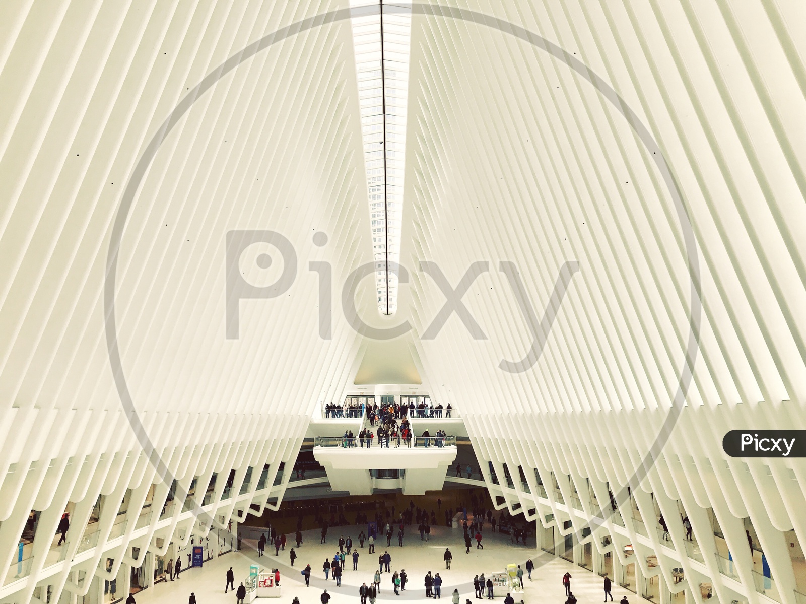The Oculus at the World Trade Center Transportation Hub in New York City