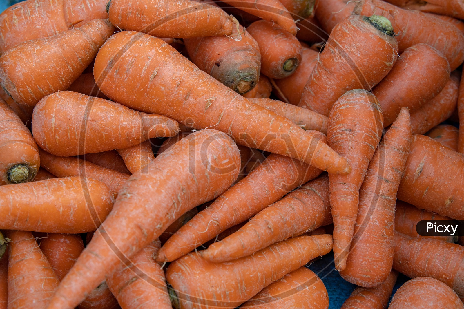 Carrots  In a Vegetable Vendor Stall