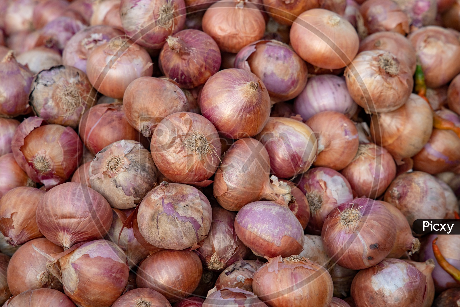 Red Onions    in a vegetable Vendor Stall