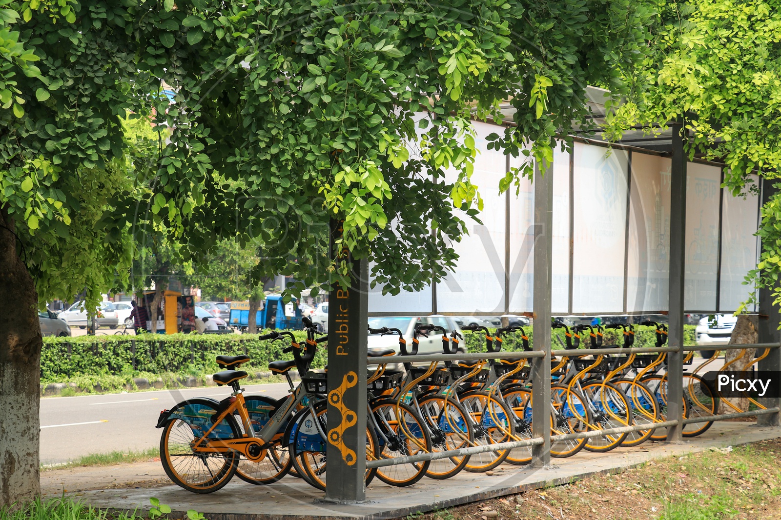 Yaana bicycles sharing service