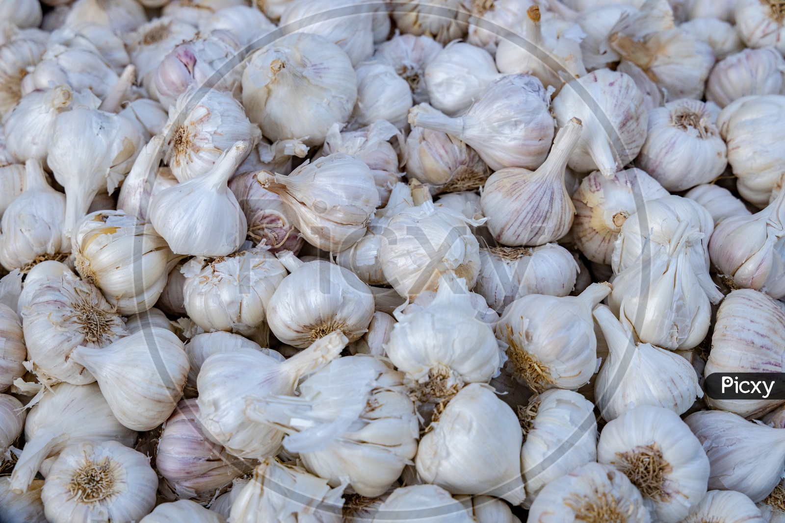 Garlic in a Vegetable Vendor Stall