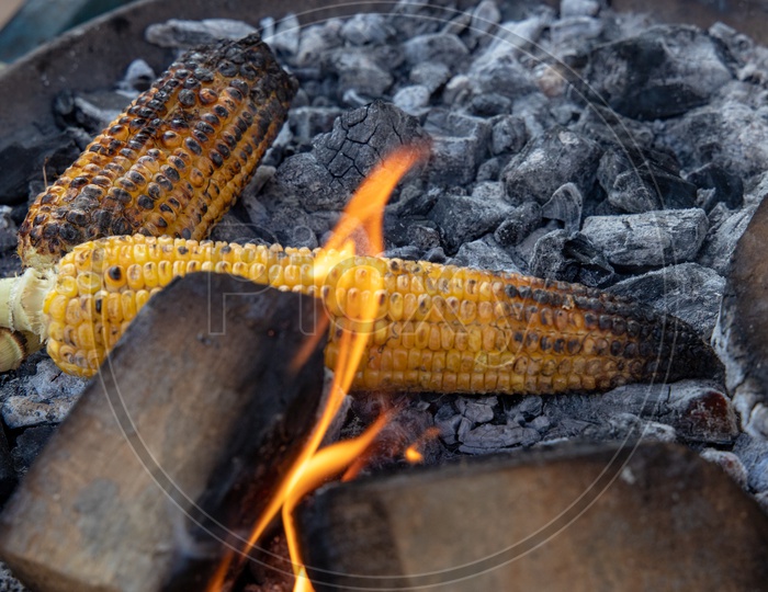Corn On  Char Coal Fire