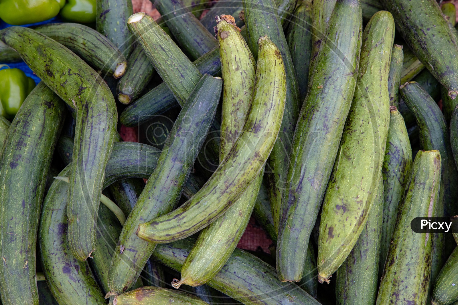 Keera   Cucumber  In a Vegetable Vendor Stall