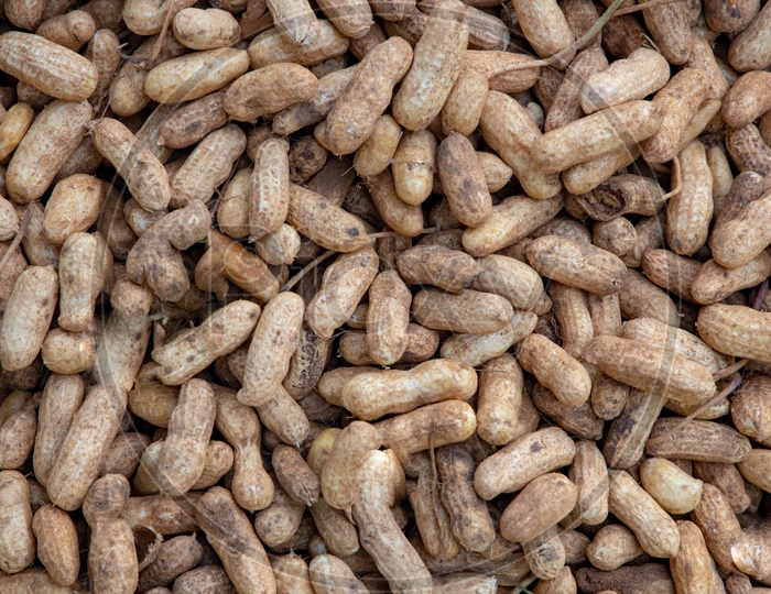 Peanuts  Ground Nuts   in a vegetable Vendor Stall