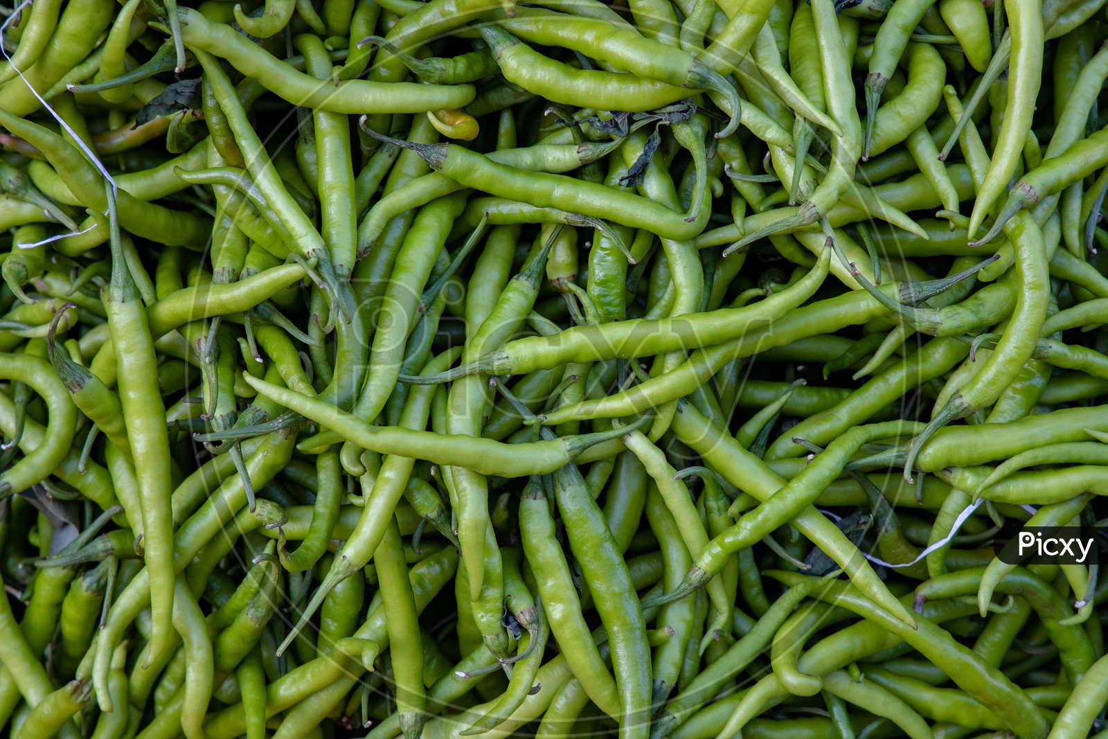 Green Chillies   in a Vegetable Vendor Stall