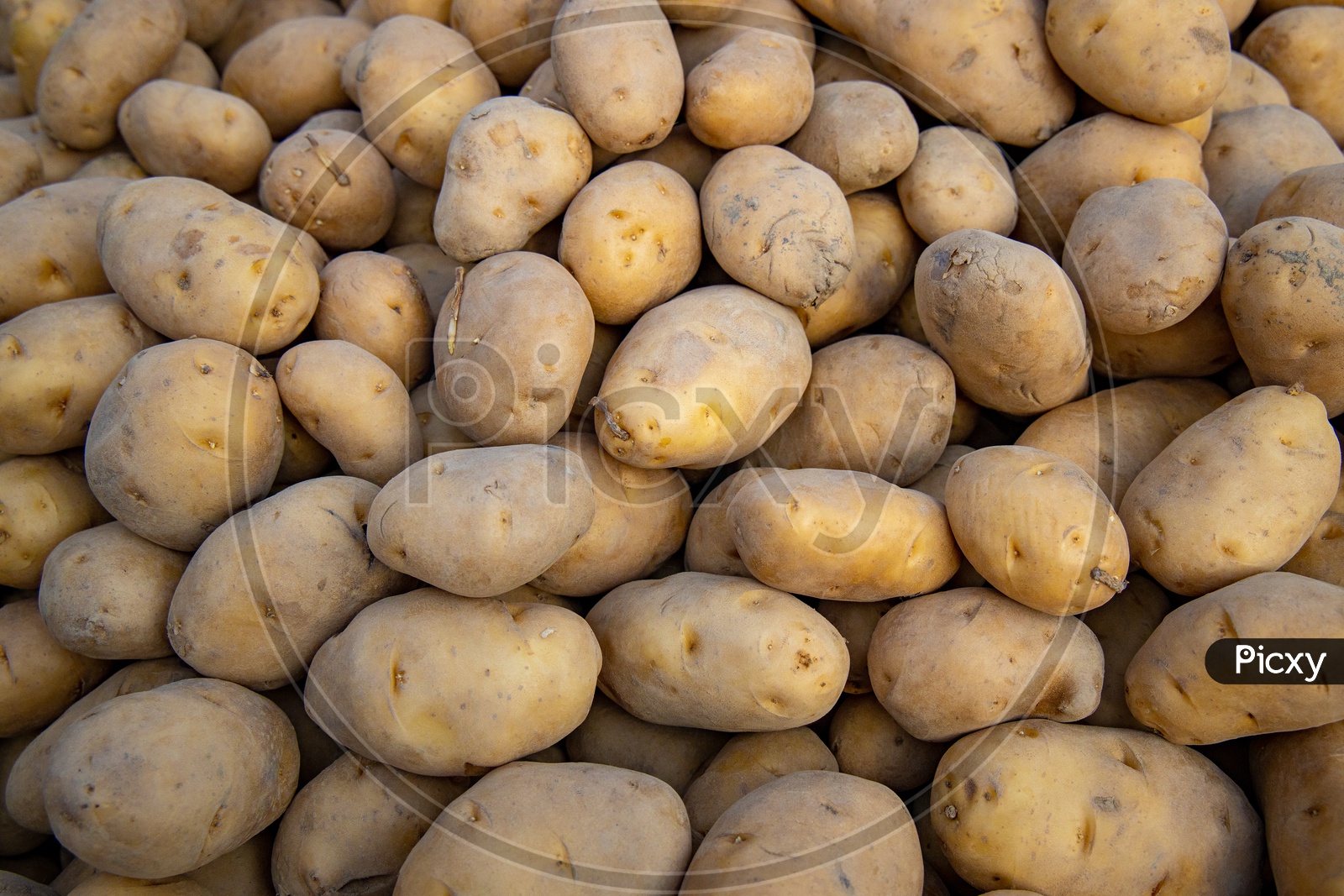 Potatoes  in a vegetable Vendor Stall