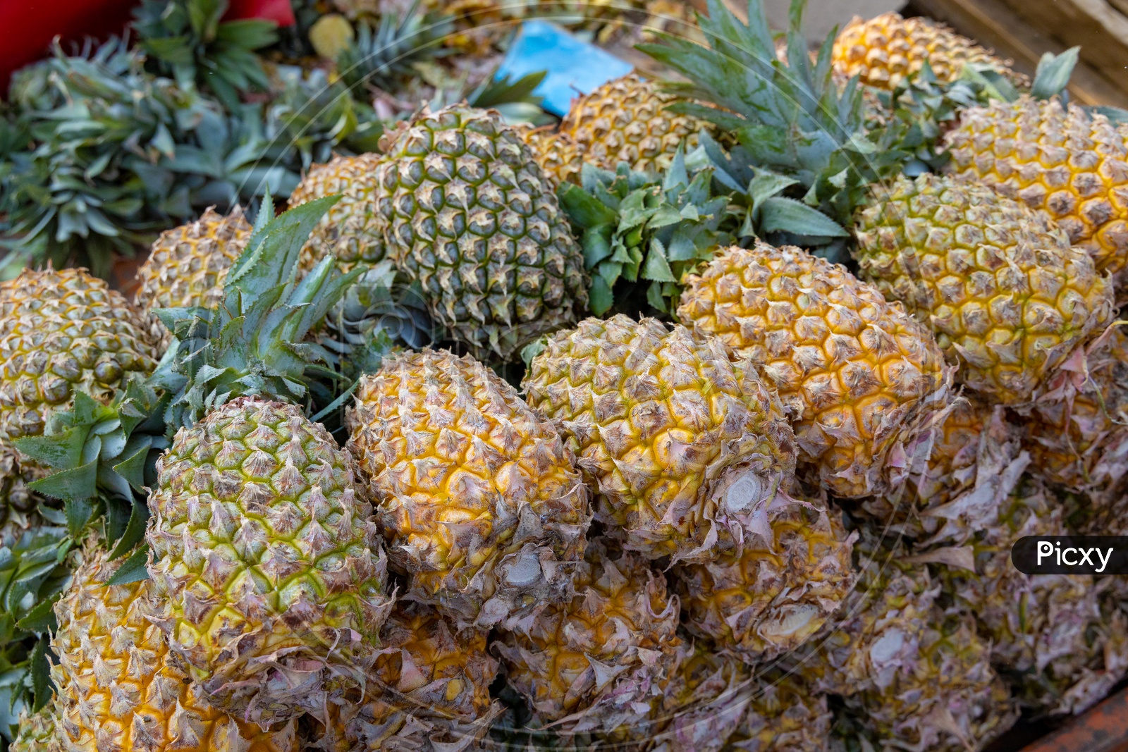 Pineapple Fruit At a Vendor Stall