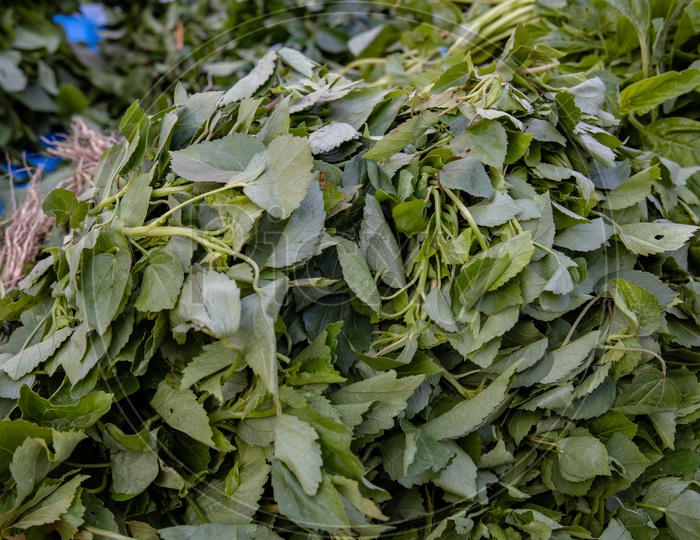 Green Leafy  vegetables  in  a Vendor Stall