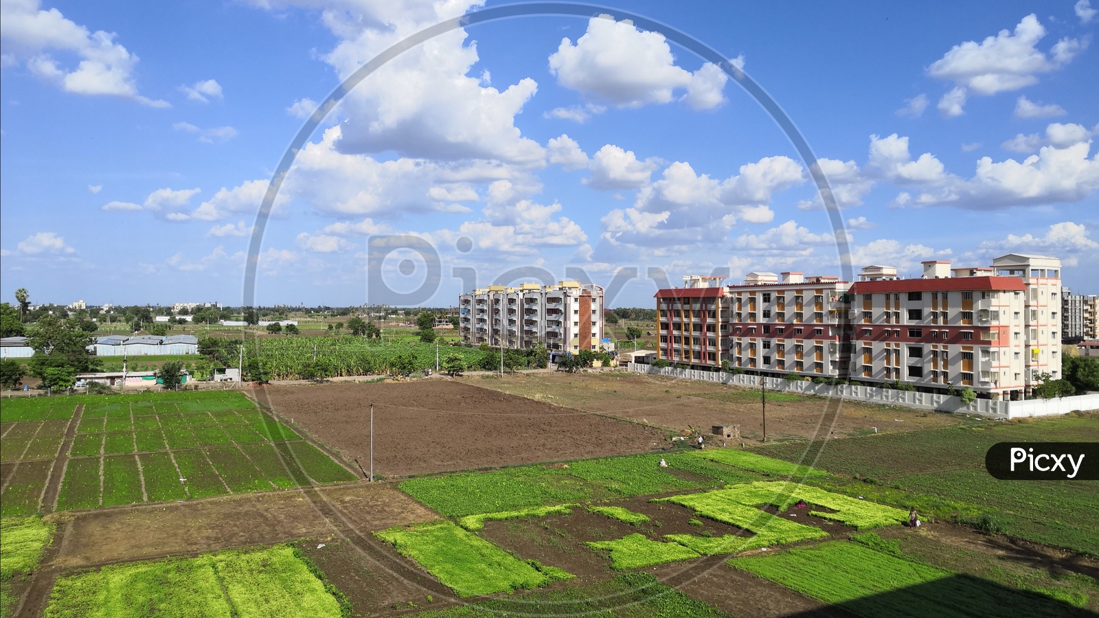 Buildings in the middle of agricultural fields