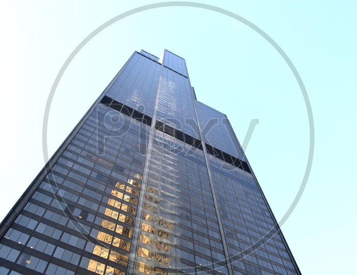 Willis Tower  A  Sky Scraper in Chicago