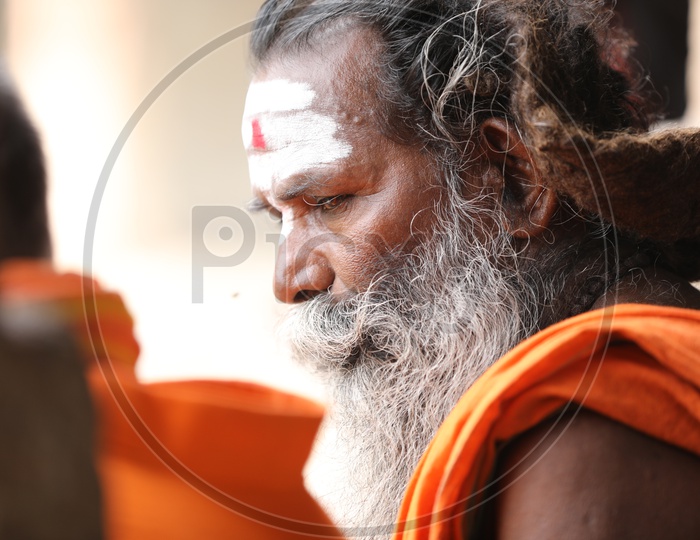 Indian Hindu Baba Or Sadhu With Beard