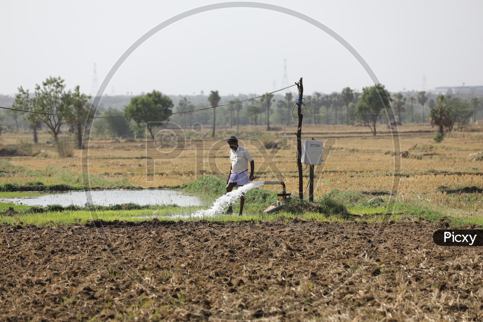 Farmers Watering The Agricultural Lands or Farm Lands With Motor Pumps In Rural Villages