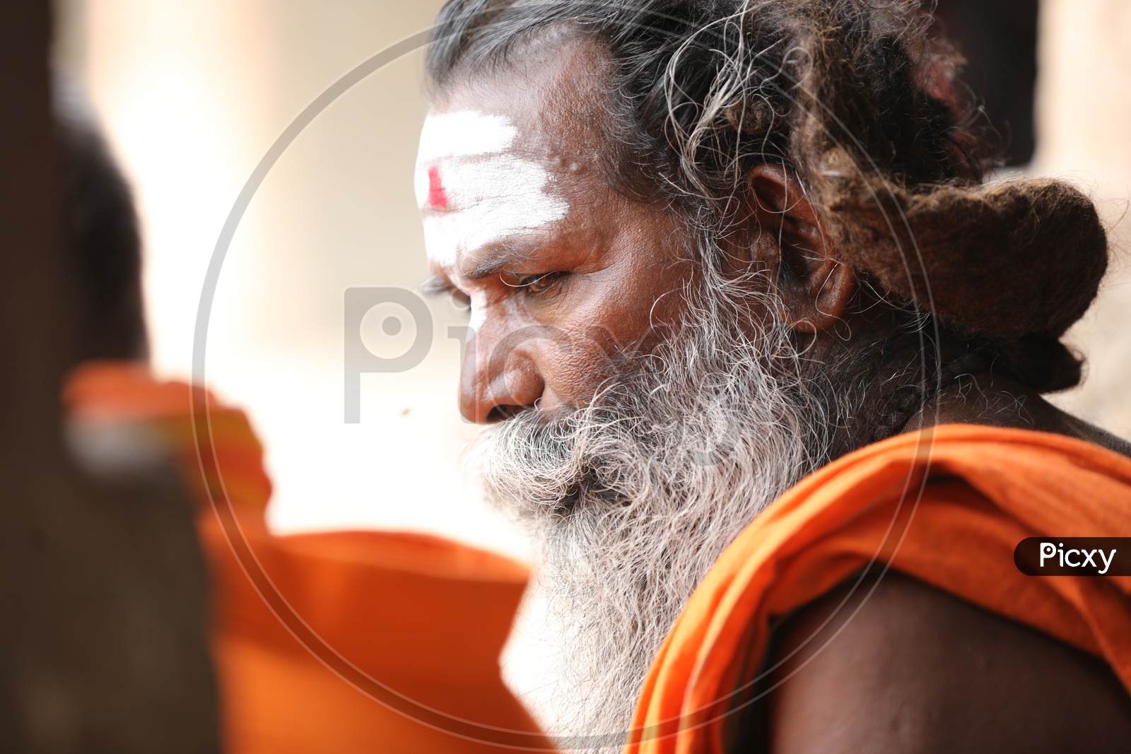 Indian Hindu Baba Or Sadhu With Beard