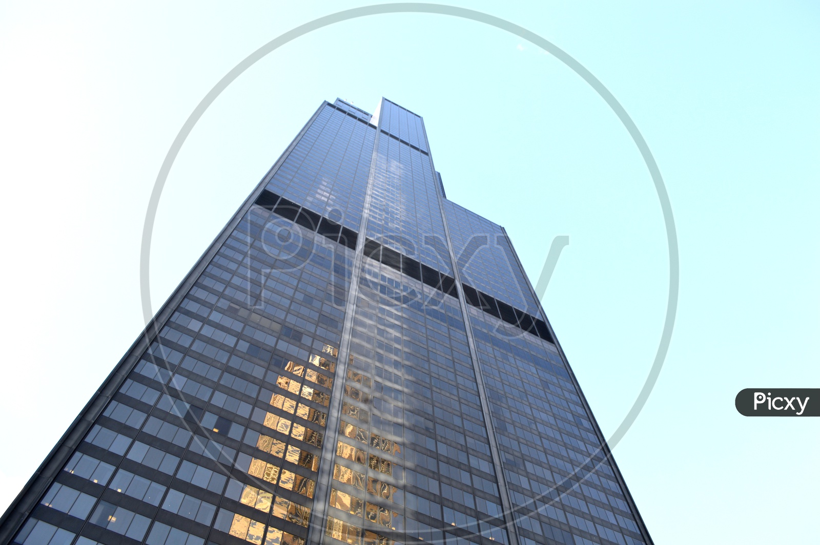 Willis Tower  A  Sky Scraper in Chicago