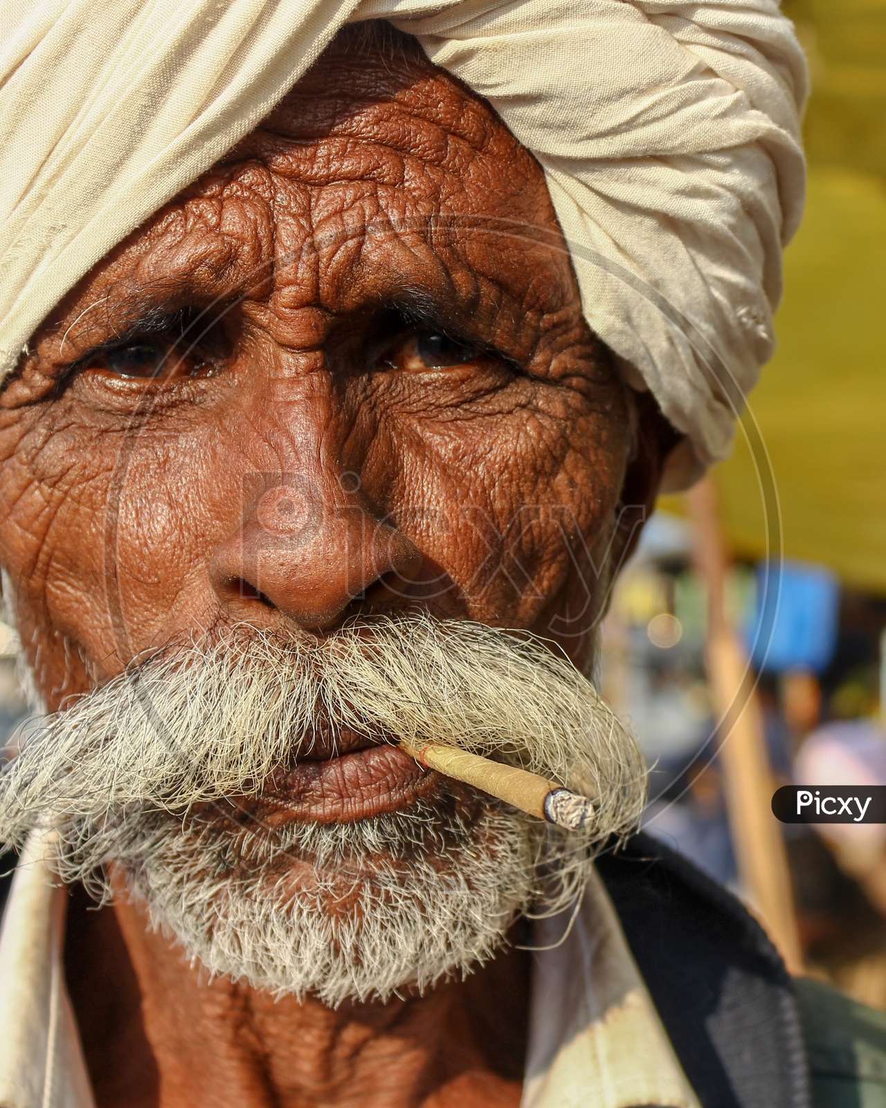 Portrait Of an Indian Old Man Smoking Beedi