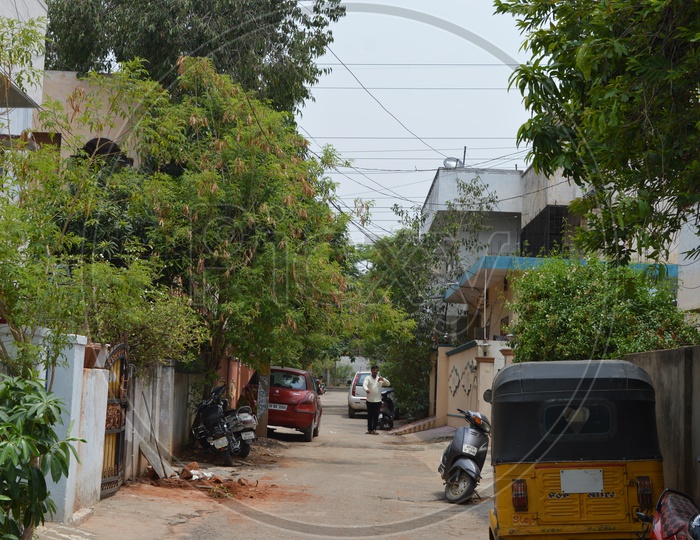 Hyderabad Streets Covered with Greenery
