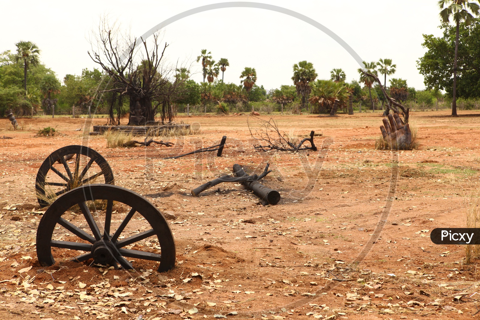 Old Ruins Of a Bullock Cart With Wheel