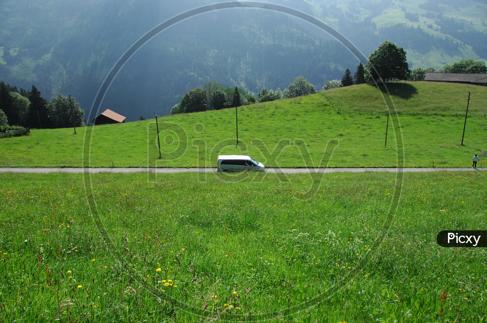 Cars On the Green Swiss Alps