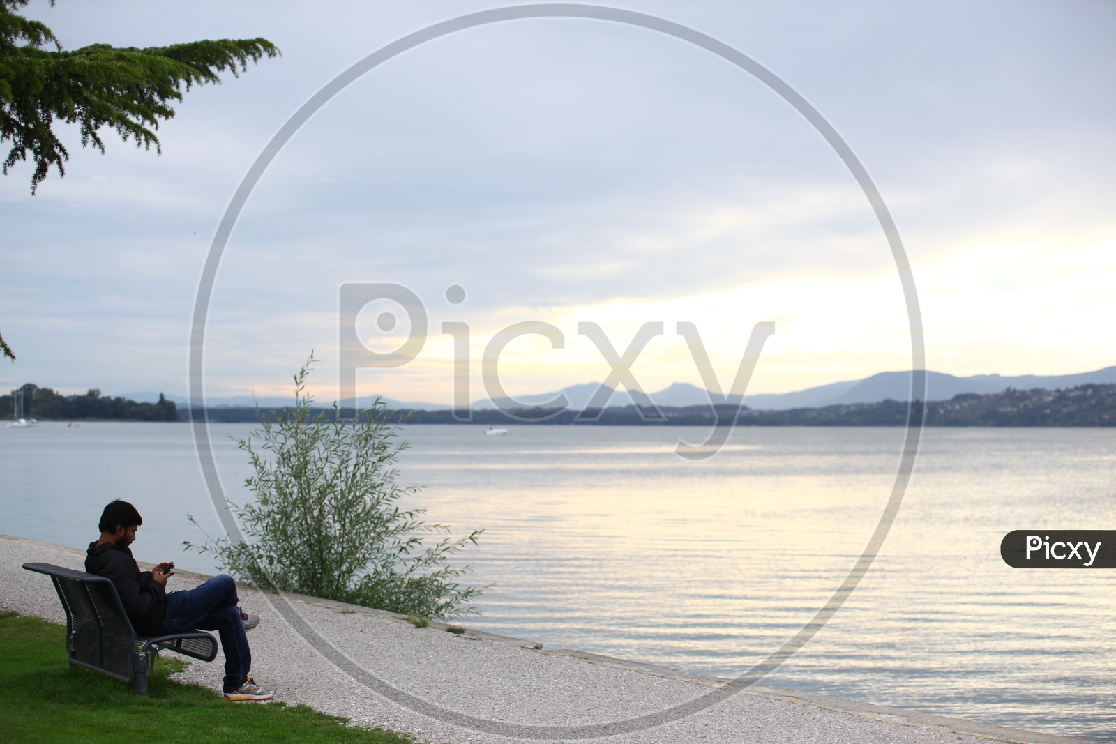 A Man Using Mobile By Sitting  alone On the Bank of a Lake