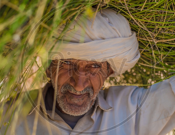 Portrait of a Farmer carrying  Grass