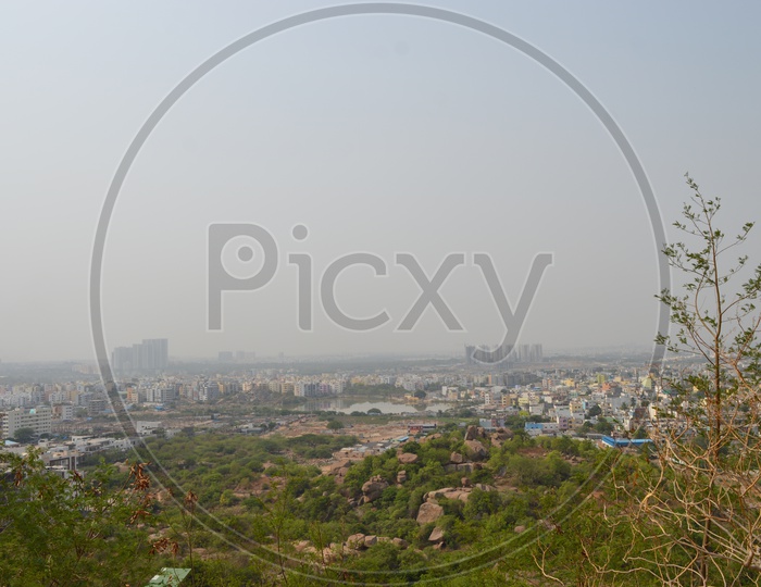 Plants Or Trees On a Hill Top Cliff  With a City Scpae View