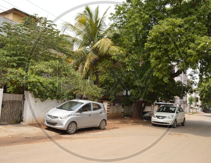 Image of Hyderabad Streets Covered with GreeneryRN059758Picxy